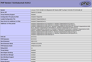 screenshot_php-info